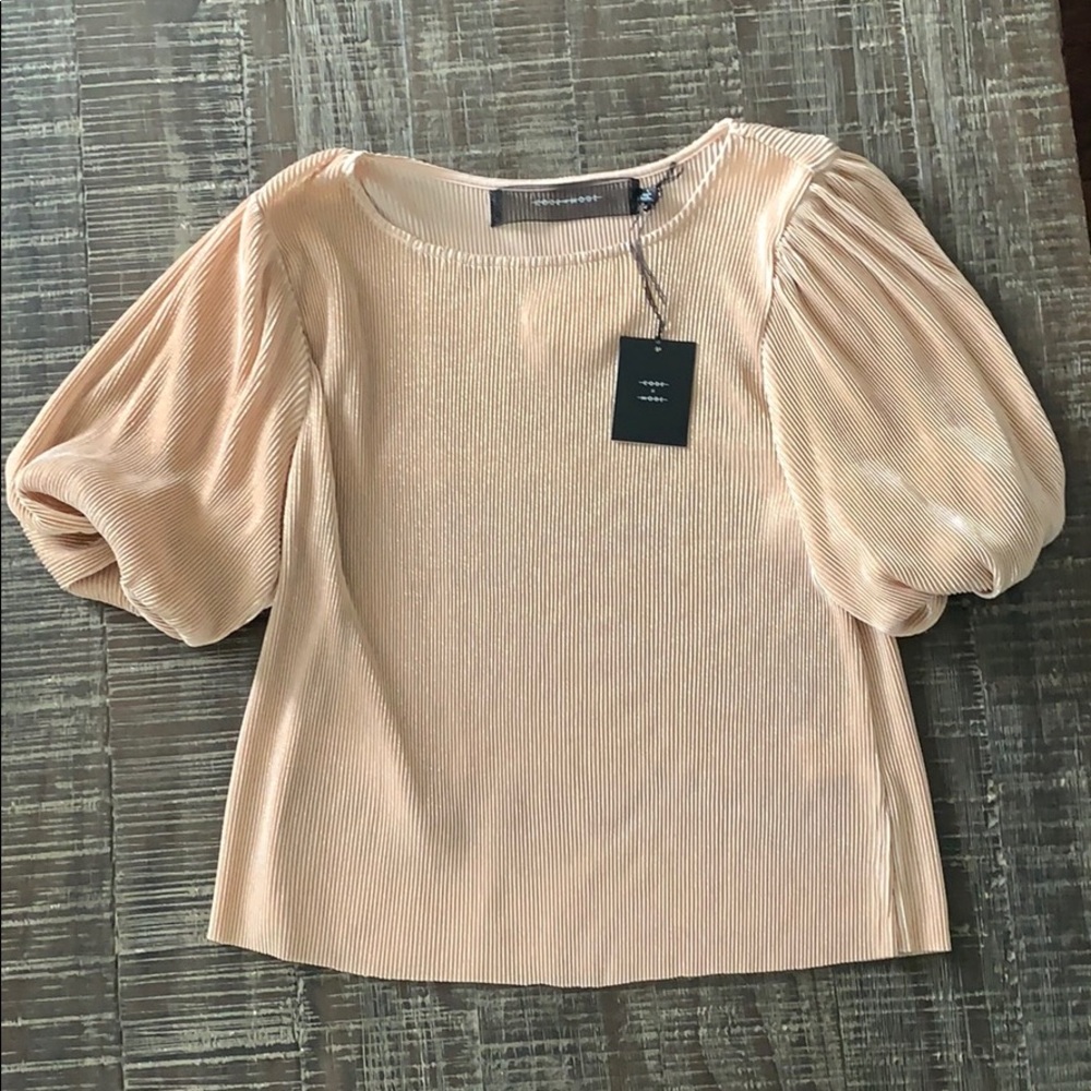 NWT Balloon Sleeve Blush Chiffon Top